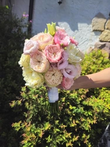 20240809 114621-transformed