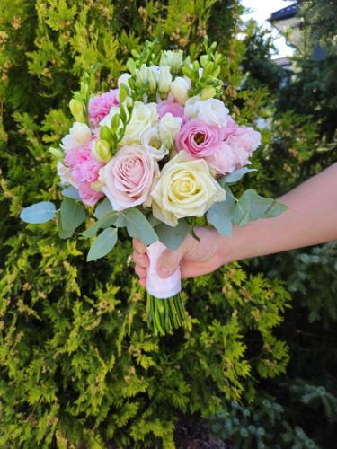 20240817 093004-transformed