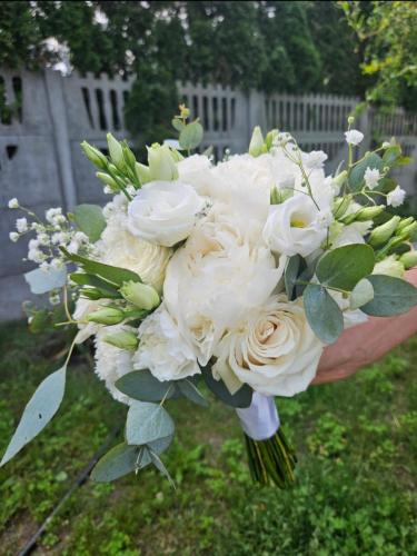 WhatsApp-Image-2025-10-07-at-22.45.47-5