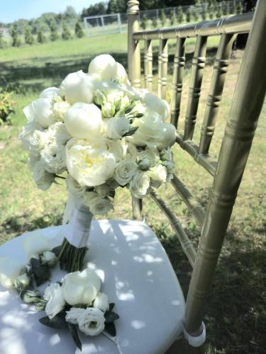 ae254bab-4538-4203-8902-579e0e99b373